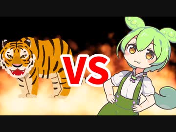 VS虎(発情期♂)なのだ！