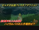 ゼルダの伝説 ブレスオブザワイルド　ハイラルバスの入手場所は？防寒着手に入れる材料　＃５【ゼルダbotw】