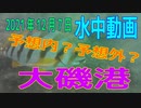 水中動画（2021年12月7日）in 大磯港（西防波堤釣り場）