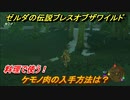ゼルダの伝説 ブレスオブザワイルド　ケモノ肉の入手方法は？料理で使う！　＃６【ゼルダbotw】