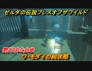 ゼルダの伝説 ブレスオブザワイルド　ワ・モダイの祠攻略　メインストーリー 閉ざされた台地　＃８【ゼルダbotw】