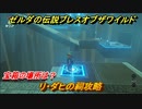 ゼルダの伝説 ブレスオブザワイルド　リ・ダヒの祠攻略　宝箱の場所は？　＃１３【ゼルダbotw】