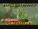 ゼルダの伝説 ブレスオブザワイルド　大事なマラカス攻略　ポーチ拡張が可能　＃１５【ゼルダbotw】