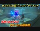 ゼルダの伝説 ブレスオブザワイルド　タロ・ニヒの祠攻略　戦闘の基本を学ぶ　＃１６【ゼルダbotw】