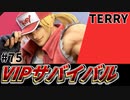 【実況】スマブラSPでたわむれる VIPサバイバル「テリー編」#75