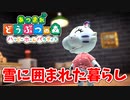 【あつまれ どうぶつの森 ハッピーホームパラダイス実況】別荘？？OK！任せて！コユキの別荘「雪に囲まれた暮らし」完成編