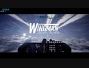 Project Wingman RTA NG+ (No MSB) 2:19:57.49