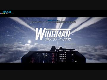 Project Wingman RTA NG+ (No MSB) 2:19:57.49