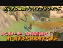 ゼルダの伝説 ブレスオブザワイルド　青い炎を古代研究所まで運ぶ　メインストーリー ゼルダの道しるべ　＃２４【ゼルダbotw】