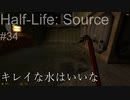 【プレイ Half-Life:Source】34.黒きベルト《実験を失敗したときの一つの事例》