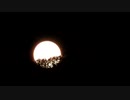 美しい月の出映像　wolf moon　ウルフムーン