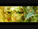 紙の月　feat.初音ミク