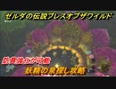 ゼルダの伝説 ブレスオブザワイルド　妖精の泉探し攻略　防具強化が可能　＃２５【ゼルダbotw】