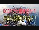 RCEPで大量移民か？日本人は排除される！？