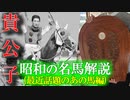 【ゆっくり解説】昭和の名馬解説(最近話題のあの馬編)【タイテエム】