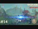 ライネル先輩弓矢キツイっす【ゼルダの伝説 ブレスオブザワイルド マスターモード】#14