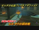 ゼルダの伝説 ブレスオブザワイルド　ルヨ・タウの祠攻略　宝箱の場所は？　＃３２【ゼルダbotw】