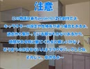 全てを失った付喪神が幻想入り　第五十一張