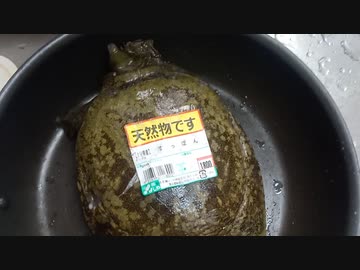 【手抜きずんだもん】すっぽん