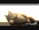 [NieR Replicant] まったりニーアレプリカントver.1.2247... 第70回