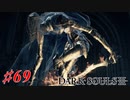 【初見実況】ゲーム下手がダークソウルⅢもクリアするまで その６９【DARK SOULSⅢ 】