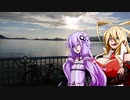 ゆかりさんのゆるポタ１５　初日の出が見たかった・・・
