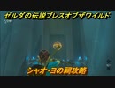 ゼルダの伝説 ブレスオブザワイルド　シャオ・ヨの祠攻略　＃３７【ゼルダbotw】