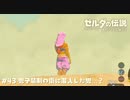 リンクが女装する…ってコト！？【ゼルダの伝説BotW】 #43