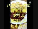 ハンバーグに青実山椒あうよ美味しさヒキタツ高所恐怖症ですガラス張りエレベーターに乗ったりしたらハンバーグ違った半泣く