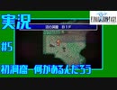 【女性実況】#5　ファイナルファンタジー1　沼の洞窟【PSP】
