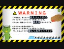 【未確認生物調査企画】現地調査　フナバシETフィッシュ（2020.9.19）