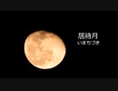 東の山から上がってきた黄色っぽい月　nice moon　居待月