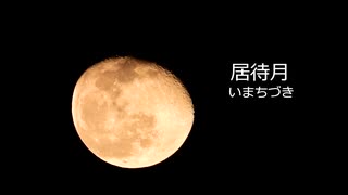 東の山から上がってきた黄色っぽい月　nice moon　居待月