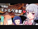 浮世絵茜はひた走る 街道編 part1 周山街道 若狭小浜 わらじカツ丼