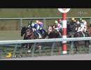 競馬　金杯 GⅢ（関東、関西）2レース