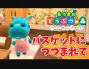 【あつまれ どうぶつの森 ハッピーホームパラダイス実況】別荘？？OK！任せて！あんこの別荘「バスケットにつつまれて」