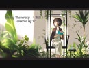 String Theocracy （ Mili ） / covered by R*