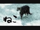 ねこ／わたP feat.初音ミク＆東北ずん子