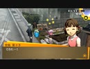 #20【P4G】家庭菜園を作ろう！〈日常part5〉【実況プレイ】