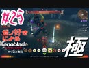ゼノ好きによるゼノブレイドDEやり込み極プレイ（低レベル縛り）part25【実況】