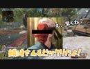 【APEX動画】