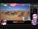 2021年末のナミブ砂漠観察