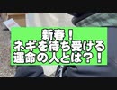 初詣！借金1000万の男の未来を暗示するおみくじ