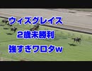 【競馬予想tv】ウィズグレイス 強すぎワロタw 2歳未勝利賞2021【ルメール 武豊tv】京都2歳ステークス ジャパンカップ