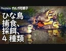 カルガモ親子0502R【雛鳥の捕食と採餌4種類】赤ちゃんを見守る母。カラス。ハクセキレイとキジバトの鳴き声、さえずり。カワセミの飛び込み捕食。ヒヨドリやオナガ。鶴見川水系恩田川でコンデジ野鳥撮影・観察