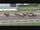 ヴィーダ　函館・竜飛岬特別　2021年8月1日