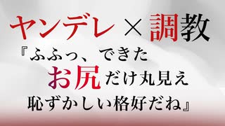 【BL/女性向けヤンデレ/ASMR】ヤンデレDV彼氏に夜の公園で拘束されてお尻を叩かれ、お仕置きされてしまう【シチュエーションボイス/スパンキング】