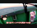 琴葉姉妹と行く釣行記録（海釣り編part20）