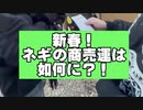 貧乏神が取り憑いた従業員のおみくじが酷い