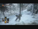 【ダークソウル3】今度こそ絵画世界へ！【14-3回目】
